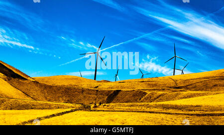 Generatori di vento al Altamont Pass in California del Nord Foto Stock