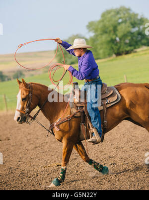 Cowboy gettando lazo a cavallo Foto Stock