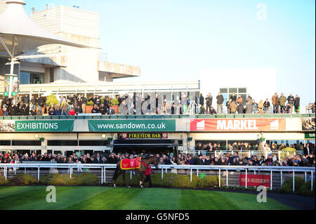 Horse Racing - Tingle Creek Festival di Natale - Giorno 2 - Sandown Park Foto Stock