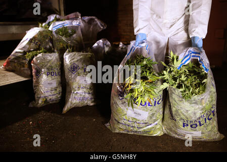 La droga raid in Glasgow Foto Stock