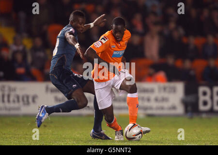 Isaiah Osbourne di Blackpool (a destra) e Wolverhampton Wanderers Tongo Doumbia (a sinistra) combattono per la palla Foto Stock
