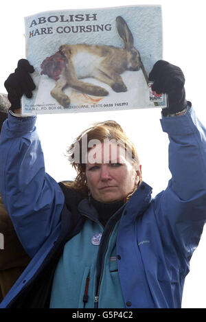 Manifestanti per i diritti degli animali al corso di Lepre, Waterloo Cup di Altcar, Merseyside. Una manifestazione della League Against Cruel Sports contro l'evento di tre giorni che si svolge nella tenuta Altcar di Lord Leverhulme, Merseyside. * gli organizzatori della Waterloo Cup, conosciuta come la ribanda blu del calendario di coursing lepre, sostengono che lo sport è sempre più popolare con la puntata che si prevede di attrarre fino a 10,000 spettatori. Foto Stock