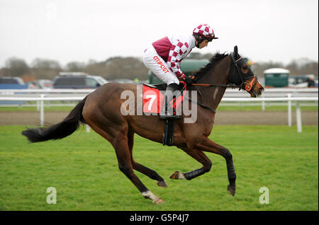 Horse Racing - William Hill Festival invernale - Giorno 1 - Kempton Park Racecourse Foto Stock