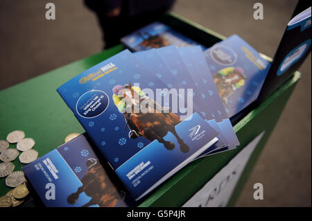 Dettaglio delle carte da corsa del William Hill Winter Festival in vendita Foto Stock