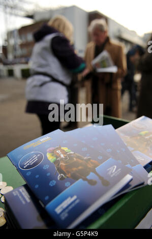 Horse Racing - William Hill Festival invernale - Giorno 1 - Kempton Park Racecourse Foto Stock