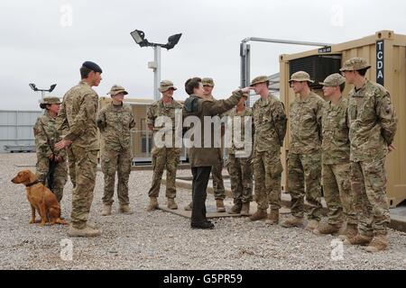 La principessa reale è dato un giro della sezione militare dei cani di lavoro da WO2 Squadron Sergente maggiore David Blackmore (secondo a sinistra) durante la sua visita al Bastione del campo, provincia di Helmand, Afghanistan. Foto Stock