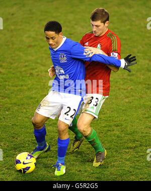 Calcio - Barclays Premier League - Everton / Swansea City - Goodison Park. Steven Pienaar di Everton (a sinistra) e ben Davies di Swansea City lottano per la palla Foto Stock