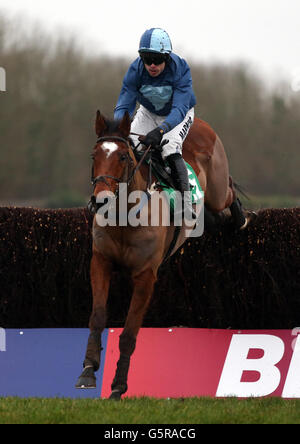 Corse di cavalli - Gennaio sale Race Day - Ippodromo di Chepstow. Cranky Corner indovinato da Sam Thomas nel Dunraven Windows handicap Chase al corso di gara di Chepstow, martedì 8 gennaio 2013. Foto Stock