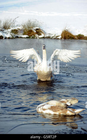 Inverno Meteo - Gennaio xvi Foto Stock