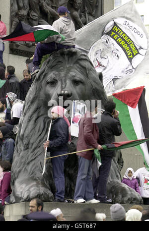 I manifestanti che detengono la bandiera palestinese si trovano sulla testa di uno dei leoni di Trafalgar Square, nel centro di Londra, mentre migliaia di musulmani britannici hanno tenuto una manifestazione nella piazza per protestare contro l'azione israeliana contro i palestinesi in Medio Oriente. *i dimostranti hanno aggrottato e bruciato questa bandiera israeliana mentre hanno sbandierato la colonna di Nelson. Nonostante gli appelli degli organizzatori, l'Associazione Musulmana della Gran Bretagna, per mantenere l'ordine, decine di persone si sono schiantate al centro della piazza gridando 'con Israele' e 'jihad' - che è la chiamata musulmana alla guerra Santa. Foto Stock