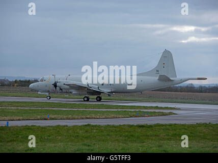 Lockheed P-3C Orion dal MFG-3 Nordholz registrazione seriale (60 + 06) Foto Stock