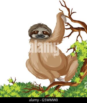 Carino bradipo sul ramo illustrazione Illustrazione Vettoriale