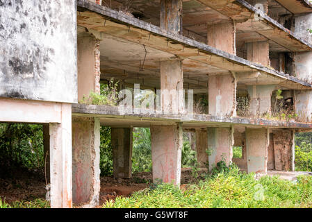 Interno di un edificio in rovina, Cuba Foto Stock