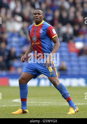 Calcio - campionato della Lega di Calcio di Npower - Crystal Palace v Middlesbrough - Selhurst Park. Kagisho Dikgacoi, Palazzo di Cristallo Foto Stock