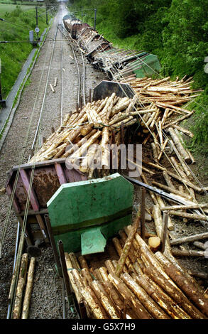 Una vista la linea ferroviaria dove un treno merci ha deragliato a Quintinshill, tra Gretna e Chapleknowe, Dumfries e Galloway. * il treno, portando 14 carri di legno, ha lasciato la pista intorno alle 9.30 ma il conducente non è stato ferito nella collisione e nessun altro era a bordo del treno al momento. *19/06/02 la linea ferroviaria dove un treno merci è deragliato a Quintinshill, tra Gretna e Chapleknowe, Dumfries e Galloway. I servizi ferroviari su una delle linee più trafficate del Regno Unito saranno interrompiti fino all'inizio della prossima settimana, mentre i danni causati da un treno merci deragliato saranno riparati, Railtrack Foto Stock