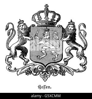 Eraldica, stemma, Germania, stemma statale del Granducato d'Assia, incisione in legno, 1872, diritti-aggiuntivi-non-disponibili Foto Stock