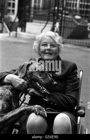 Televisione cane addestratore Barbara Woodhouse con il suo grande cucciolo Dane Julie lanciare un messaggio 'il vostro cane ha bisogno di voi' per i proprietari di cani per conto della Campagna Nazionale Stroke. Non è stata in grado di camminare senza aiuto da un colpo nel 1984. Foto Stock