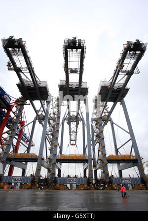 Una vista di tre gru di banchina giganti, alte 138 metri, vengono consegnate al nuovo porto mondiale di navigazione degli UK, DP Worlds London Gateway, in costruzione a Stanford-le-Hope, Essex, dopo un viaggio in mare di tre mesi dalla Cina. Foto Stock