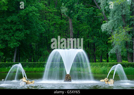 Fontane nei giardini di Peterhof, Petrodvorets, San Pietroburgo, Russia Foto Stock