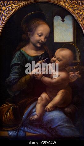 Madonna con Bambino e un fiore, Madonna Benois, Leonardo da Vinci, 1478, Museo Statale Ermitage, San Pietroburgo, Russia Foto Stock