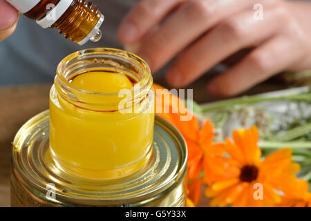 Produzione yarrow e la Pomata alla Calendula / (Calendula officinalis), Achillea millefolium) Foto Stock