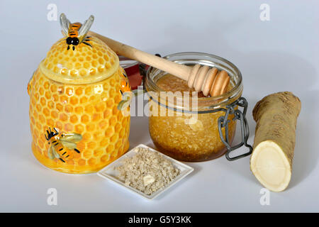 La produzione di sciroppo di rafano con miele / (Cochlearia armoracia) Foto Stock
