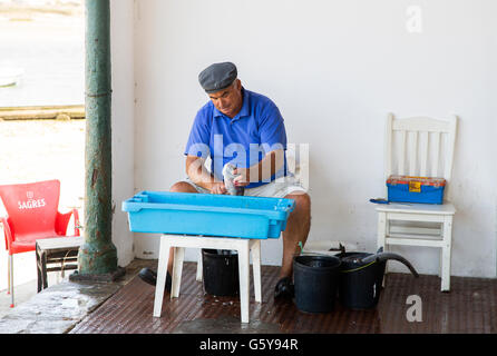 Pescatore locale pulizia del pesce sulla banchina nel piccolo villaggio di pescatori di Alvor, nella regione di Algarve Portogallo Foto Stock