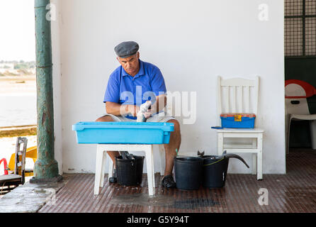 Pescatore locale pulizia del pesce sulla banchina nel piccolo villaggio di pescatori di Alvor, nella regione di Algarve Portogallo Foto Stock