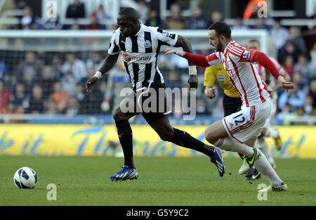 Newcastle United's Moussa Sissoko e Stoke City's Marc Wilson (a destra) durante la partita Barclays Premier League al St James' Park, Newcastle. Foto Stock