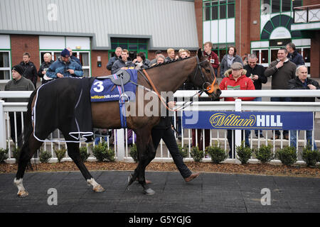 Corse di cavalli - Lincoln Trial Day - Ippodromo di Wolverhampton. I Racegoers osservano i cavalli mentre camminano intorno all'anello della sfilata durante il Lincoln Trial Day all'ippodromo di Wolverhampton Foto Stock