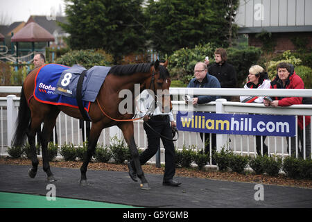 Corse di cavalli - Lincoln Trial Day - Ippodromo di Wolverhampton. I Racegoers osservano i cavalli mentre sono camminati intorno all'anello della sfilata durante il Lincoln Trial Day all'ippodromo di Wolverhampton Foto Stock