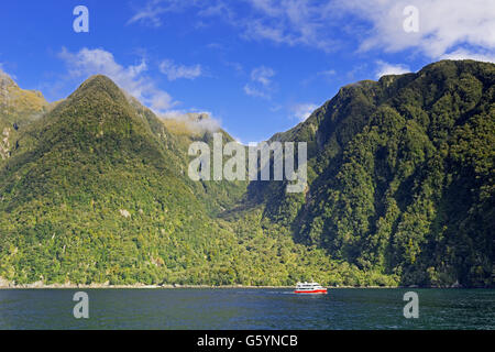 Battello da crociera su Doubtful Sound, parco nazionale di Fiordland, Doubtful Sound, Isola del Sud, southland, Nuova Zelanda, Australia Foto Stock