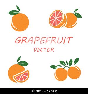 Vettore di pompelmo piatto set di icone Illustrazione Vettoriale