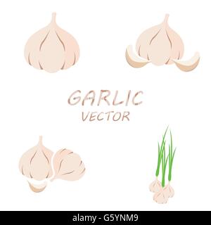 Aglio vettoriali set di icone Illustrazione Vettoriale