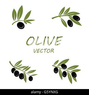 Vettore di oliva set di icone Illustrazione Vettoriale