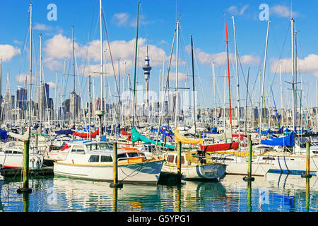 Skyline e yachts a Westhaven Marina di Auckland, Isola del nord, Nuova Zelanda Foto Stock