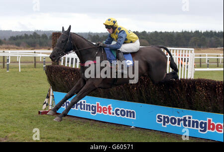 Horse Racing - March Madness - Exeter Racecourse Foto Stock