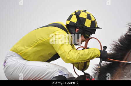 Dougie Costello, a bordo del circuito a rischio calcolato, vince le rocce Michael Afflick alla gara di handicap Paddy Power Juvenile durante la Giornata della Coppa Imperiale Paddy Power all'ippodromo di Sandown. Foto Stock