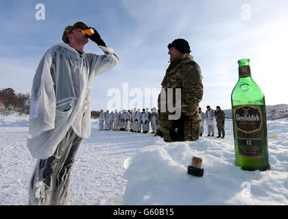 Royal Marines Commando riservisti formazione in Norvegia Foto Stock