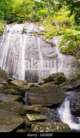 La Coca cade El Yunque National Forest, Puerto Rico. Foto Stock