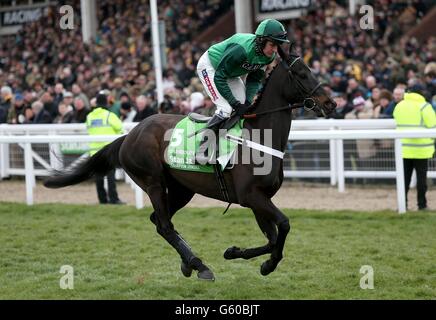 Horse Racing - 2013 Cheltenham Festival - Day One - Cheltenham Racecourse Foto Stock