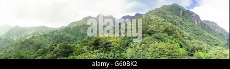 Vista panoramica di El Yunque National Forest, Puerto Rico. Foto Stock