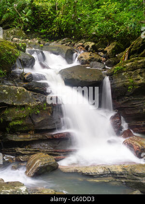 Una vista della parte superiore La Mina cade, El Yunque Falls, Puerto Rico. Foto Stock