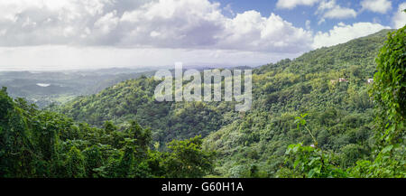 Vista panoramica di El Yunque National Forest, guardando a sud verso Naguabo, Puerto Rico. Foto Stock