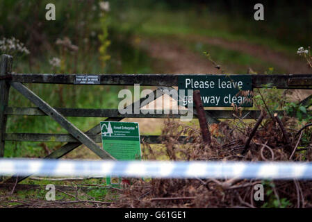 Inchiesta in boschi a Yateley Foto Stock