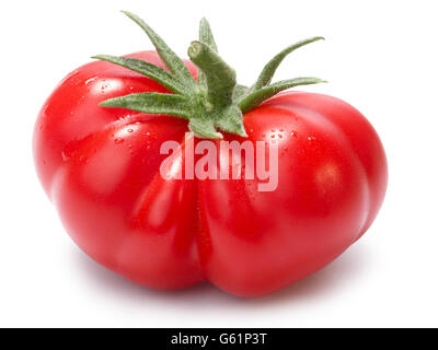 Mature cimelio di pomodori sul vitigno, Togorific varietà (Solanum Lycopersicum). I tracciati di ritaglio per entrambi i pomodori e l'ombra,d infinito Foto Stock