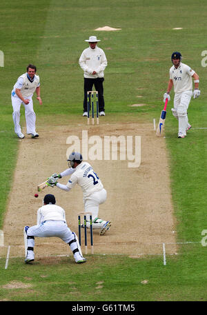 Cricket - LV=County Championship - Division One - Giorno 4 - Warwickshire v Derbyshire - Edgbaston Foto Stock