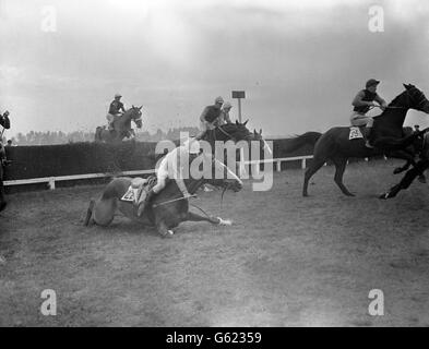 Corse di cavalli - Waterside Steeplechase - Lingfield Park Racecourse. 'Grand Manor', con W. Redmond in su, cade durante il Waterside Steeplechase. Foto Stock