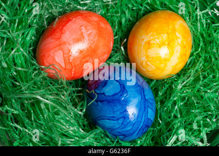 Colorate le uova di Pasqua in un nido Foto Stock