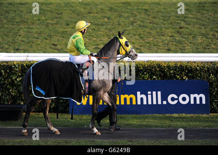 Jockey Adam McLean su Six Silver Lane prima del Handicap apprendista elettrico YESSS Foto Stock